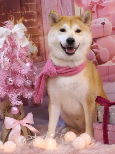 20241229リョウスケくん